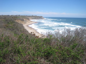 view from bluffs along clay head trail